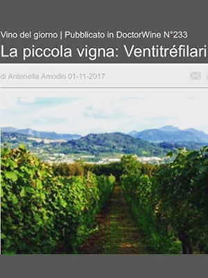 doctorwine ventitréfilari